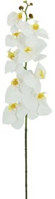 Τεχνητό Λουλούδι Ορχιδέα 00-00-21030-1 90cm White Marhome Synthetic