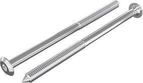 vidaXL Βίδες επίπλων 2 pcs Ασημί M6 x 100 χιλ. Ατσάλι