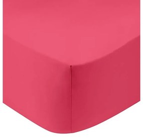 Κατωσέντονο Cotton Feelings με λάστιχο 112 Fuchsia Διπλό (160x200+30)