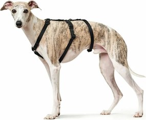 Λουρί Σκύλου Hunter Μαύρο L M/L