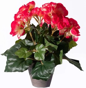 Τεχνητό Φυτό Μπιγκόνια 4390-6 20x20x25cm Dark Pink Supergreens Πολυέστερ