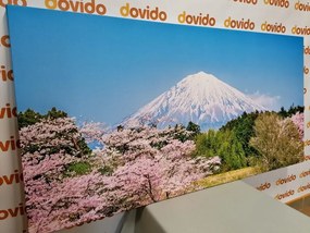 Εικόνα από τον Fuji