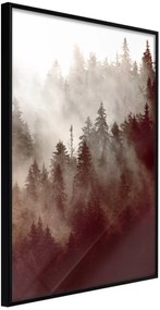 Αφίσα - Forest Fog - 40x60 - Μαύρο - Χωρίς πασπαρτού