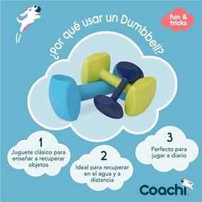 Παιχνίδι εκπαίδευσης Coachi TRAINING DUMBBELL
