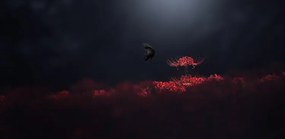 Φωτογραφία Raven black and red, Takashi Suzuki