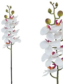 MarHome ΚΛΑΔΙ ΦΑΝΕΛΟΨ ΛΕΥΚΟ/ΡΟΖ Υ76cm.12/144KIB  00-2520-2 LEYK/ROZ