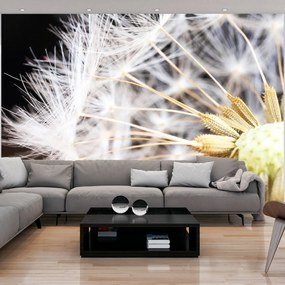 Φωτοταπετσαρία - Fluffy dandelion 350x245