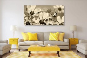 Εικόνα λουλούδια κήπου σε σχέδιο σέπια - 100x50