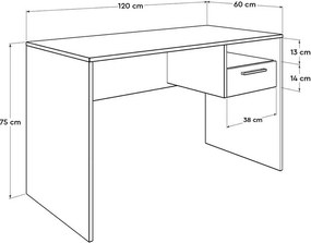 Γραφείο εργασίας σε χρώμα σονόμα 120x60x75