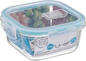 Φαγητοδοχείο 530ml F-V Squa Glass 146654