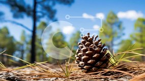 Intra Συλλεκτικό Ξύλινο Παζλ Plywood  4mm - Πεύκο σε φυσικό βιότοπο Σε Ξύλινο Κουτί - Διαστάσεις: 10x10 cm – 25 κομμάτια