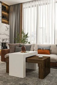 Stewehome Σετ 2 μοντέρνα τραπεζάκια σαλονιού από σαντουλάμ 50x90 cm