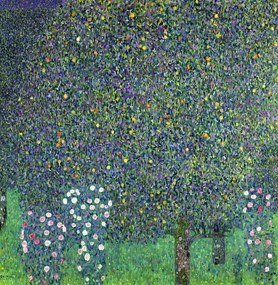 Αναπαραγωγή Roses under the Trees, c.1905, Gustav Klimt