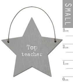 ΕΠΙΓΡΑΦΗ ΑΣΤΕΡΑΚΙ - TOP TEACHER