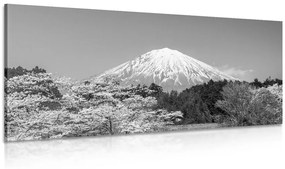 Εικόνα του όρους Φούτζι σε ασπρόμαυρο - 100x50
