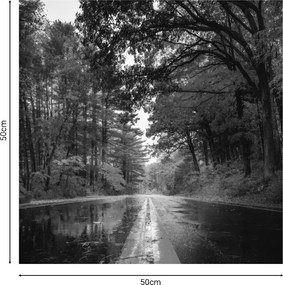 Πίνακας σε καμβά Savgone pakoworld ψηφιακής εκτύπωσης 50x1.8x50εκ