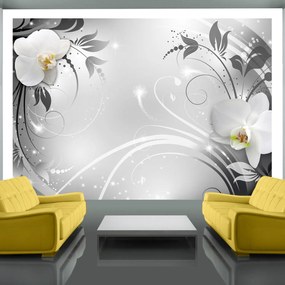 Φωτοταπετσαρία - Orchids on silver 350x245