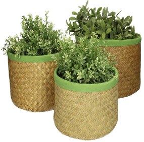 Κασπώ ArteLibre Μέντα Seagrass 27x27x17cm Σετ 3Τμχ
