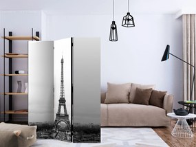 Διαχωριστικό με 3 τμήματα - Paris: black and white photography [Room Dividers]