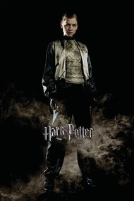 Εικονογράφηση Harry Potter and the Goblet of Fire - Fleur