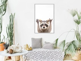 Αφίσα - Funny Racoon - 20x30 - Μαύρο - Με πασπαρτού