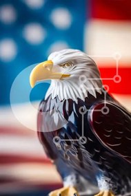 Intra Συλλεκτικό Ξύλινο Παζλ Plywood 4mm - Ειδώλιο αετού με αμερικανική σημαία Σε Ξύλινο Κουτί - Διαστάσεις: 10x10 cm – 25 κομμάτια