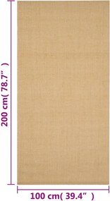 vidaXL Χαλί 100 x 200 εκ. από Φυσικό Σιζάλ