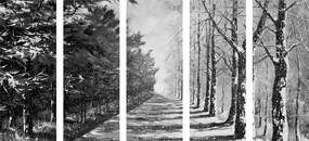 Εικόνα 5 τμημάτων φθινοπωρινό δρομάκι με δέντρα σε μαύρο & άσπρο - 200x100