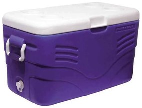 Ψυγείο Ισοθερμικό Campcool 48lt 22-04682