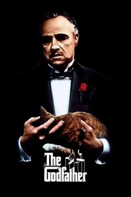 Εικονογράφηση The Godfather (1972)