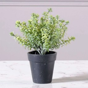 Τεχνητό Φυτό Αρωματικό 0750-6 15x23cm Green Supergreens Πολυέστερ