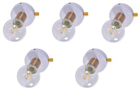 SE 138-WH (x5) Tolo Packet White and bronze light+ HOMELIGHTING 77-8856