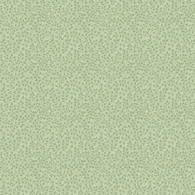 Ταπετσαρία Τοίχου Cristiana Masi Blooming Garden 84049-PAR