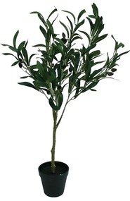 MarHome ΔΕΝΤΡΟ ΕΛΙΑΣ ΣΕ ΓΛΑΣΤΡΑ - Y65cm 6/72ΚΙΒ  04-16056