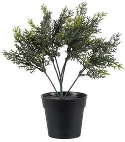 GloboStar® Artificial Garden LEMON CYPRESS 20389 Τεχνητό Διακοσμητικό Φυτό Λεμονόκυπάρισσο Υ30cm