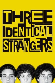 Εικονογράφηση Three Identical Strangers (2018)