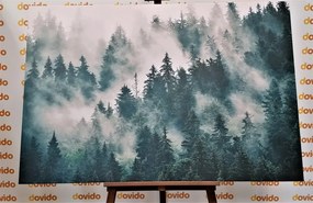 Εικόνα βουνά στην ομίχλη - 90x60