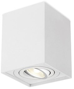 Φωτιστικό Σποτ Braytron BH04-00310 Λευκό (White)