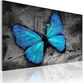 Πίνακας - The study of butterfly - 60x40