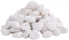 vidaXL Βότσαλα Γυαλισμένα Λευκά 25 κ. 2-5 εκ.