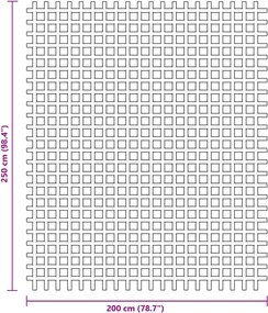 vidaXL Χαλί Σκηνής Ανθρακί 2,5x2 μ.