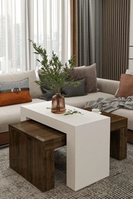 Stewehome Σετ 2 μοντέρνα τραπεζάκια σαλονιού από σαντουλάμ 50x90 cm