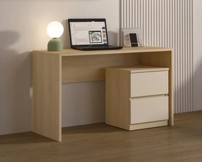 Σύνθεση γραφείου Raton