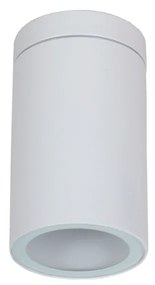 R 2101