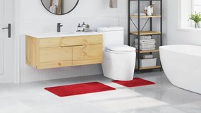 vidaXL Σετ Μάτ Μπάνιου Αντιολισθητικό 2 pcs Κόκκινο PP