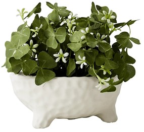 Κασπώ κρεμ τσιμεντένιο 18 x 8 εκ.