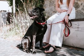 Λουρί Σκύλου Hunter Κόκκινο 2 m Ρυθμιζόμενο