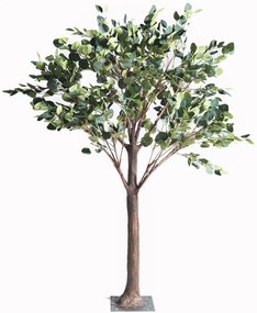 Τεχνητό Δέντρο Παχίρα 1540-6 150x180cm Green Supergreens Υαλοβάμβακας