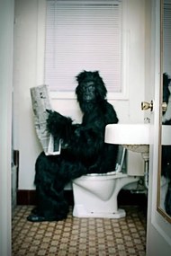 Φωτογραφία Gorilla Uses a Vintage Bathroom While, RyanJLane