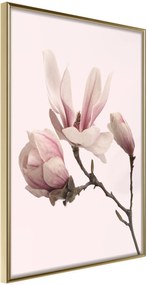 Αφίσα - Blooming Magnolias II - 20x30 - Χρυσό - Χωρίς πασπαρτού